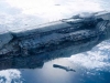 Halo4-262