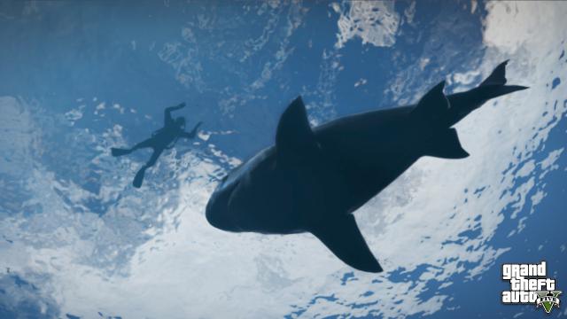 Shark GTA V