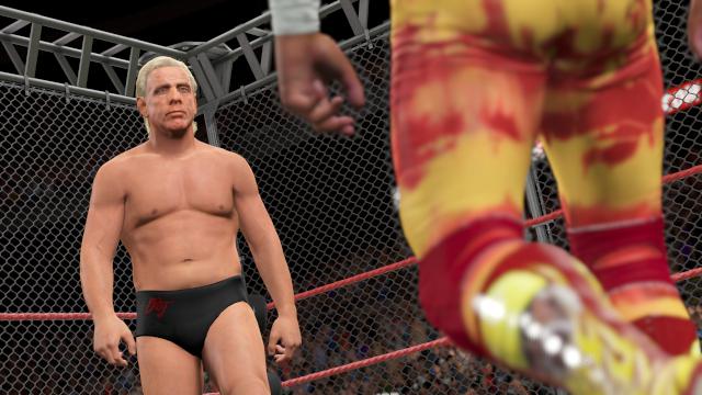 WWE2k15-Review (4)