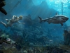 ACGA_SP_51_Underwater_SharkAlert