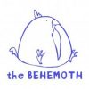 The Behemoth Sending Charity Chickens – You Can Help!